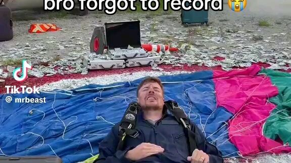Mrbeast bro