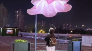 南京南艺后街的牵牛花灯