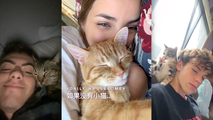 Without my kitten… my house would be cleaner, and I could save more money, but my heart… would feel 