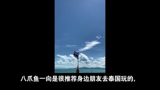 一点八卦，有八爪鱼、敖瑞鹏、肖战、苗苗