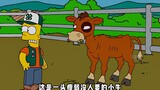 辛普森一家：巴特参加农村变形记对小牛产生感情