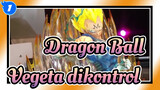 Dragon Ball| Membuka Kemasan GK Tsume Dragon Ball——Vegeta dikontrol_1