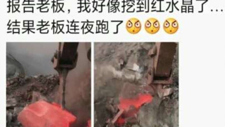 老板为什么连夜跑了Σ(ﾟдﾟ;)网络上那些爆笑的沙雕图(｀・ω・´)|第555期