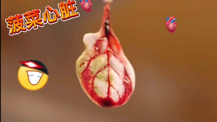 Biến rau bina thành mô tim! Rau bina lợi hại đến mức cả Popeye cũng thích ăn!