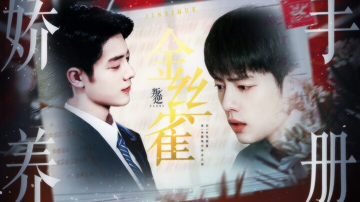 【Xiao Zhan, Dendrobium】Buku Panduan Merawat Kecil Kanari Kelas Satu Episode 3 (Presiden Gu Chunsheng
