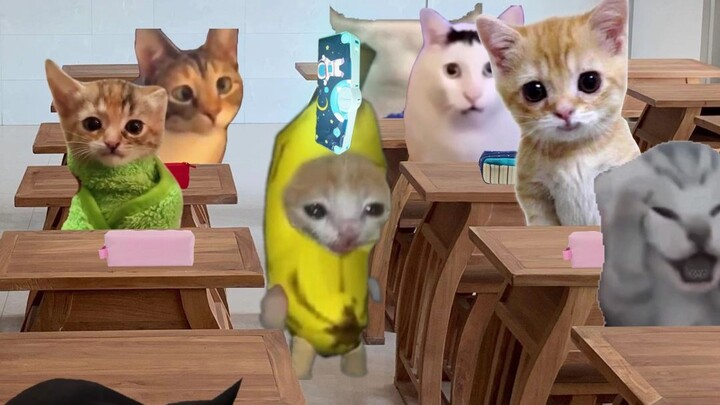 قطة الموز تتباهى بعلبة أقلام الرصاص الجديدة خلال استراحة الدرس