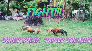 SPAR!   DUMAYO TAYO SA KAIBIGAN AT NILABAN ANG ATING SUPER BULIK SA RAPTOR SWEATER NILA