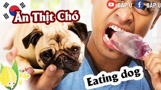 Top 10 món ăn kinh dị nhất Hàn Quốc  - Korean disgusting foods - Bắp Ú