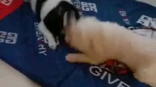 Kuya brooke and Tobias