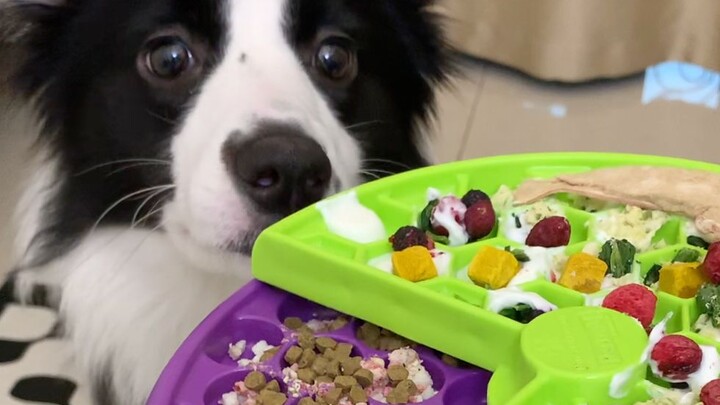 ใช้วิธีนี้สักที ไอ้หมาตัวแสบถึงได้บอกฉันเองว่ามันชอบกินอะไร!