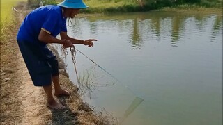 Vợ chồng Tư ra đồng chài cá không ngờ dính toàn cá này