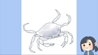 gambar kepiting