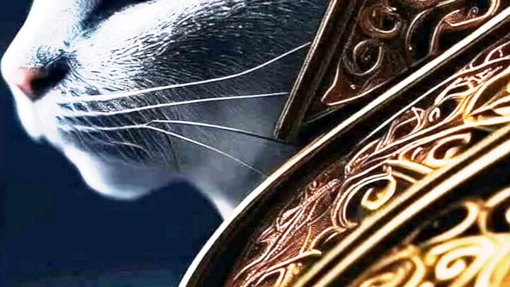 What if CAT change to WARRIOR 😦😱