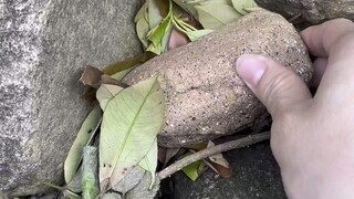 把钥匙放石头里我真聪明