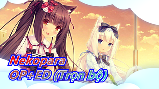 [Nekopara|Tuyển tập 4K Bluray]OP+ED (Trọn bộ)_D