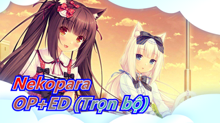 [Nekopara|Tuyển tập 4K Bluray]OP+ED (Trọn bộ)_C