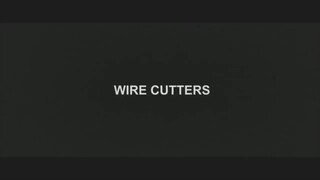 Wire Cutters (2020) Animated Short Film