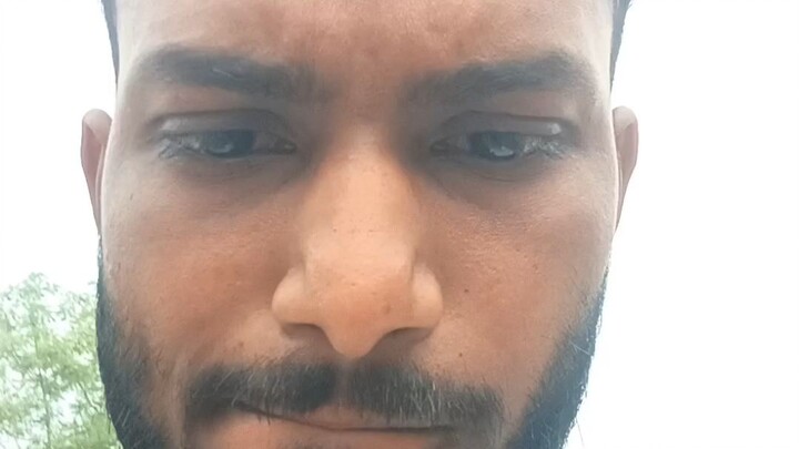 ब्लॉगिंग कर