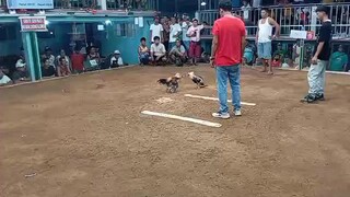 # 3rd L..