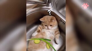 บอกว่าจะอาบน้ำไม่ใช่เหรอ? ใส่เครื่องเคียงลงไปด้วยทำไม?