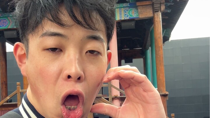 Japanese People Visit Henan