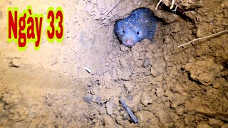 PHẦN THƯỞNG SAU MỘT NGÀY VẤT VẢ | Tập 33 | TÌM ĐƯỢC SỰ SỐNG NƠI VÙNG ĐẤT MỚI | HTV