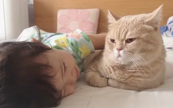 Kucing: Kamu melahirkan apa?
