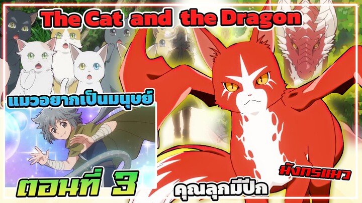 Cat And The Dragon3