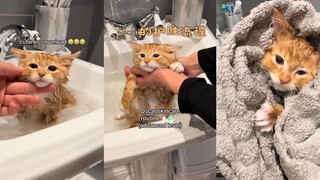 Oscar的护肤流程🧴