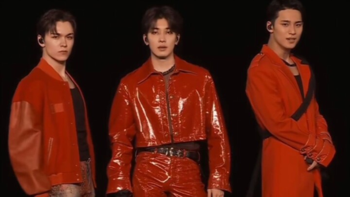 Cứu với, cả vũ công phụ họa cũng bắt đầu học theo rồi à? Chó con: Anh bạn, tôi nhớ mặt anh rồi!