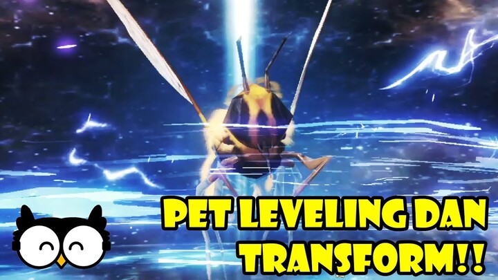 PET LEVELING DAN TRANSFORM - Chimeraland