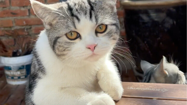 The outside world is so dazzling and exciting! My husband lost another round to Daole today. Looks l