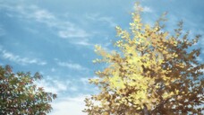 SUPER CUB EPISODE 8