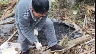 迷茫的小眼充满着不可置信