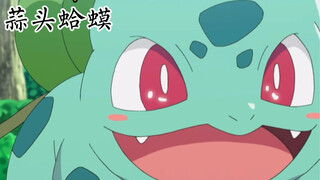 一口气看完日月篇初代三人组回归的宝可梦