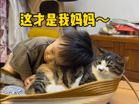 Saat mendidik anak terlalu keras, malah dimarahi oleh kucing di rumah!