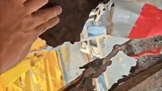 这一脚，直接给我吓软了