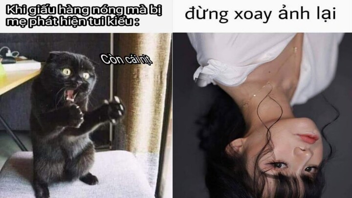 Tổng hợp ảnh chế--phần--63-- Đừng xoay ảnh lại