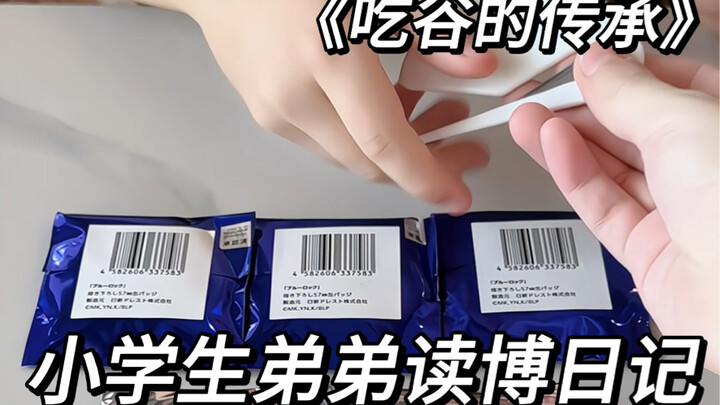 Elementary school brother—China server’s top gacha player; his match records are publicly verifiable