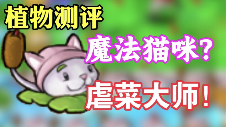 PVZ Plant Review: Is Cat O’Nine Tails from the First Game Really That Strong?