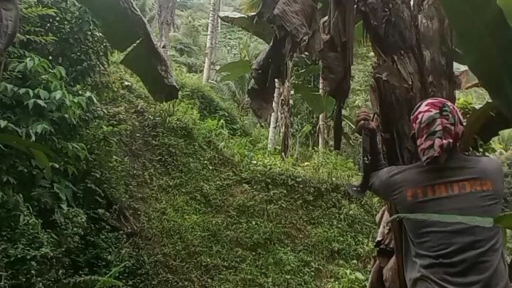 laban lng🥰🥰🥰