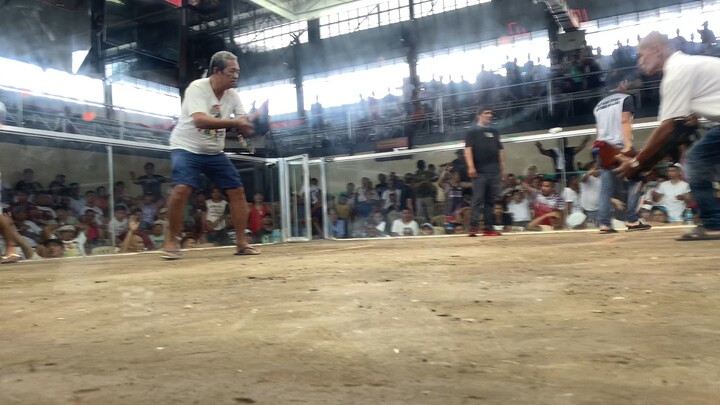 Dont compiance sa Dehado