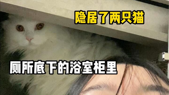 谢谢猫猫，我把新家的第一把锁装在了洗漱台