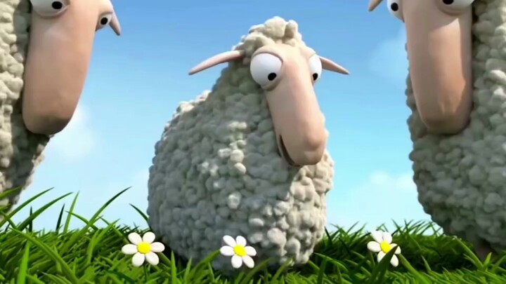 A little sheep that only eats flowers keeps imitating wolf howls!