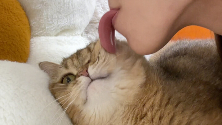 以其猫之道，还其猫之身