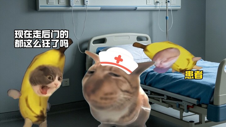 Thực tập sinh: Bạn cũng tốt bụng phết đấy!
