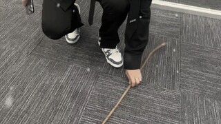 พนักงานกบฏ