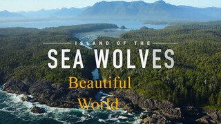 Island of the Sea Wolves 4K