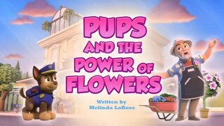 Paw patrol Musim 11 Episode 20 original mix indonesia song