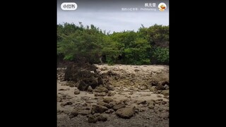 真正的好朋友，不是只給你掌聲和讚美，真正的好朋友，除了信任，更多的是支持及建議。真正的好朋友，不是一路吹捧你，而是在你迷途的時候指正你，幫助你，在你失意的時候陪伴你，扶持你。